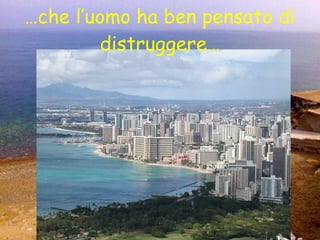 … che l’uomo ha ben pensato di distruggere… 