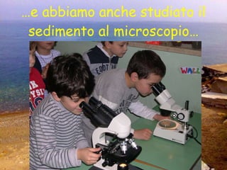 … e abbiamo anche studiato il sedimento al microscopio… 
