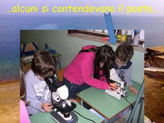 … alcuni si contendevano il posto… 