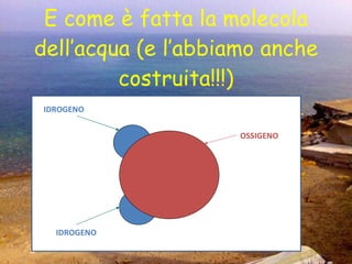 E come è fatta la molecola dell’acqua (e l’abbiamo anche costruita!!!) IDROGENO IDROGENO OSSIGENO 