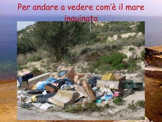 Per andare a vedere com’è il mare inquinato 