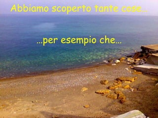 Abbiamo scoperto tante cose… … per esempio che… 