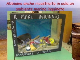 Abbiamo anche ricostruito in aula un ambiente marino inquinato 