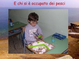 E chi si è occupato dei pesci 