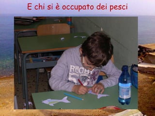 E chi si è occupato dei pesci 