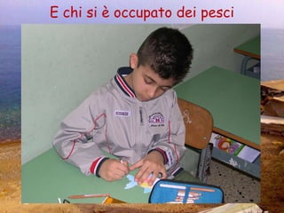 E chi si è occupato dei pesci 