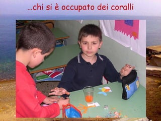 … chi si è occupato dei coralli 