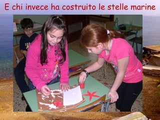 E chi invece ha costruito le stelle marine 