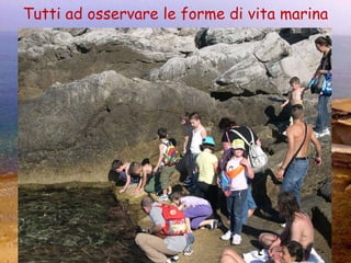 Tutti ad osservare le forme di vita marina 