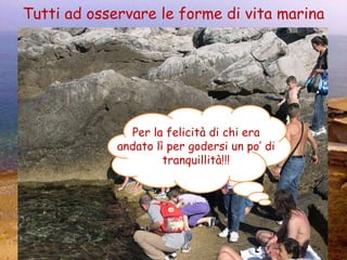 Tutti ad osservare le forme di vita marina Per la felicità di chi era andato lì per godersi un po’ di tranquillità!!! 