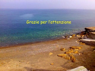 Grazie per l’attenzione 