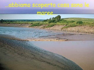 … abbiamo scoperto cosa sono le maree… 