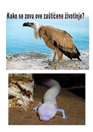 Ponavljalica 1. 6. 2020.