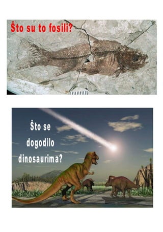 Ponavljalica 1. 6. 2020.