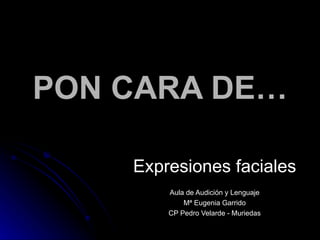 PON CARA DE… Expresiones faciales Aula de Audición y Lenguaje Mª Eugenia Garrido CP Pedro Velarde - Muriedas 
