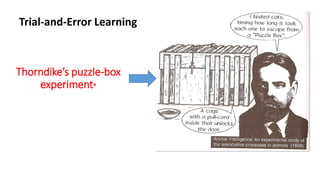 Trial-and-Error Learning
Thorndike’s puzzle-box
experiment*
 