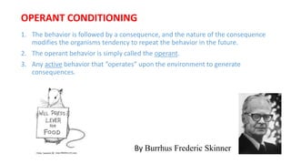 1. The behavior is followed by a consequence, and the nature of the consequence
modifies the organisms tendency to repeat the behavior in the future.
2. The operant behavior is simply called the operant.
3. Any active behavior that “operates” upon the environment to generate
consequences.
OPERANT CONDITIONING
By Burrhus Frederic Skinner
 
