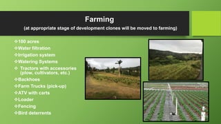 Farming
(at appropriate stage of development clones will be moved to farming)
100 acres
Water filtration
Irrigation system
Watering Systems
 Tractors with accessories
(plow, cultivators, etc.)
Backhoes
Farm Trucks (pick-up)
ATV with carts
Loader
Fencing
Bird deterrents
 