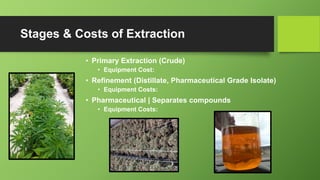 Stages & Costs of Extraction
• Primary Extraction (Crude)
• Equipment Cost:
• Refinement (Distillate, Pharmaceutical Grade Isolate)
• Equipment Costs:
• Pharmaceutical | Separates compounds
• Equipment Costs:
 