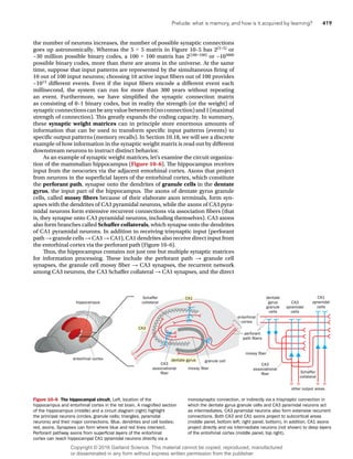 Memory, Learning, and Synaptic Plasticity 2015 | PDF