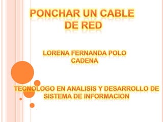 PONCHAR UN CABLE  DE RED LORENA FERNANDA POLO  CADENA TECNOLOGO EN ANALISIS Y DESARROLLO DE SISTEMA DE INFORMACION 