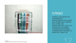 5 PASO
AHORA LO SIGUIENTE ES
ACOMODAR EL
REVESTIMIENTO DEL CABLE
QUE QUEDE MAS O MENOS
EN LA CUÑA DEL
RECEPTOR RJ45 Y QUE LAS
PUNTAS DE LOS PARES
TRENZADOS ESTEN BIEN
ACOMODADAS TOCANDO LA
BASE DEL CONECTOR
 