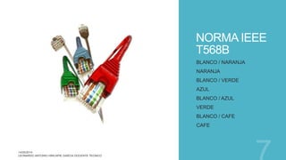 NORMA IEEE
T568B
BLANCO / NARANJA
NARANJA
BLANCO / VERDE
AZUL
BLANCO / AZUL
VERDE
BLANCO / CAFE
CAFE
 
