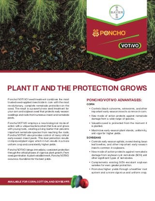 Poncho®
/VOTiVO™
seed treatment combines the most
trusted seed-applied insecticide in corn with the most
revolutionary, complete nematode protection on the
seed. The result is a powerful new seed treatment for
your corn and soybean seed that protects early-season
seedlings and roots from numerous insect and nematode
pests.
Poncho/VOTiVO employs a new biological mode of
action with a unique bacteria strain that lives and grows
with young roots, creating a living barrier that prevents
important nematode species from reaching the roots.
Poncho/VOTiVO also provides control of many critical
early-season insect pests. This dual protection results
in improved plant vigor, which in turn results in a more
uniform crop and consistently higher yields.
Poncho/VOTiVO brings immediate, consistent protection
through the critical phases of vigorous plant growth. From
seed germination to plant establishment, Poncho/VOTiVO
secures a foundation for the best yields.
PonCHo/VoTiVo aDVanTaGeS:
Corn
• Controls black cutworms, wireworms, and other
important early-season insects common in corn.
• New mode of action protects against nematode
damage from a wide range of species.
• Valuable seed is protected from the moment it
is planted.
• Maximizes early-season plant stands, uniformity,
and vigor for higher yields.
SoybeanS
• Controls early-season aphids, overwintering bean
leaf beetles, and other important early-season
insects common in soybeans.
• New mode of action protects against nematode
damage from soybean cyst nematode (SCN) and
other significant types of nematodes.
• Complements existing SCN-resistant soybean
varieties for even greater protection.
• Promotes higher yields through a healthier root
system and a more vigorous and uniform crop.
aVailable For Corn, CoTTon, anD SoybeanS.aVailable For Corn, CoTTon, anD SoybeanS.
PlanT iT anD THe ProTeCTion GroWS
 