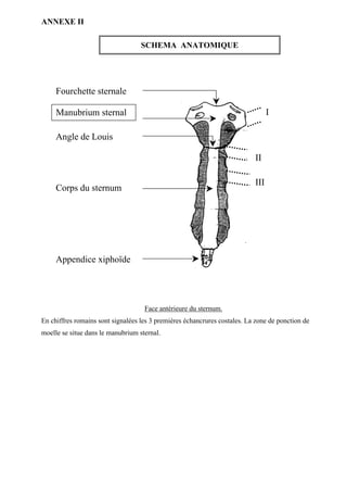 9
ANNEXE II
SCHEMA ANATOMIQUE
Face antérieure du sternum.
En chiffres romains sont signalées les 3 premières échancrures costales. La zone de ponction de
moelle se situe dans le manubrium sternal.
I
II
III
Manubrium sternal
Angle de Louis
Corps du sternum
Fourchette sternale
Appendice xiphoïde
 