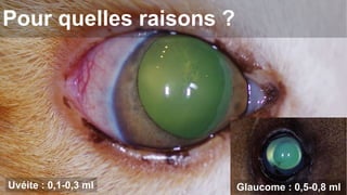 Pour quelles raisons ? 
Uvéite : 0,1-0,3 ml Glaucome : 0,5-0,8 ml 
 