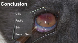 Conclusion 
Utile 
Facile 
Sûr 
Peu coûteux 
