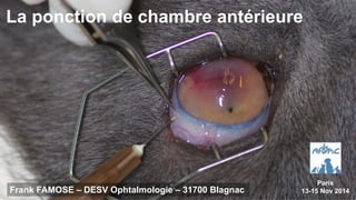 La ponction de chambre antérieure 
Frank FAMOSE – DESV Ophtalmologie – 31700 Blagnac 
Paris 
13-15 Nov 2014 
 