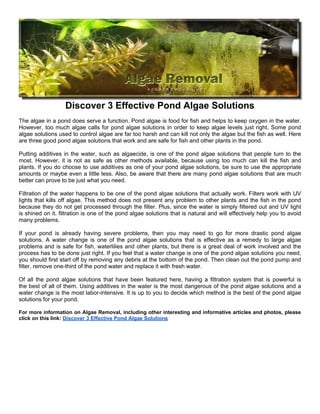 Discover 3 Effective Pond Algae Solutions
The algae in a pond does serve a function. Pond algae is food for fish and helps to keep oxygen in the water.
However, too much algae calls for pond algae solutions in order to keep algae levels just right. Some pond
algae solutions used to control algae are far too harsh and can kill not only the algae but the fish as well. Here
are three good pond algae solutions that work and are safe for fish and other plants in the pond.

Putting additives in the water, such as algaecide, is one of the pond algae solutions that people turn to the
most. However, it is not as safe as other methods available, because using too much can kill the fish and
plants. If you do choose to use additives as one of your pond algae solutions, be sure to use the appropriate
amounts or maybe even a little less. Also, be aware that there are many pond algae solutions that are much
better can prove to be just what you need.

Filtration of the water happens to be one of the pond algae solutions that actually work. Filters work with UV
lights that kills off algae. This method does not present any problem to other plants and the fish in the pond
because they do not get processed through the filter. Plus, since the water is simply filtered out and UV light
is shined on it. filtration is one of the pond algae solutions that is natural and will effectively help you to avoid
many problems.

If your pond is already having severe problems, then you may need to go for more drastic pond algae
solutions. A water change is one of the pond algae solutions that is effective as a remedy to large algae
problems and is safe for fish, waterlilies and other plants, but there is a great deal of work involved and the
process has to be done just right. If you feel that a water change is one of the pond algae solutions you need,
you should first start off by removing any debris at the bottom of the pond. Then clean out the pond pump and
filter, remove one-third of the pond water and replace it with fresh water.

Of all the pond algae solutions that have been featured here, having a filtration system that is powerful is
the best of all of them. Using additives in the water is the most dangerous of the pond algae solutions and a
water change is the most labor-intensive. It is up to you to decide which method is the best of the pond algae
solutions for your pond.

For more information on Algae Removal, including other interesting and informative articles and photos, please
click on this link: Discover 3 Effective Pond Algae Solutions
 