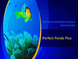 Perfect Ponds Plus
Full Pond And Water Feature
Construction
 