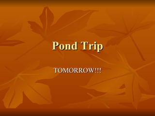 Pond Trip TOMORROW!!! 