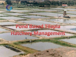 Republic of the Philippines
Department of Agriculture
BUREAU OF FISHERIES AND AQUATIC RESOURCES
National Freshwater Fisheries Technology Center
CLSU Compound, Science City of Muñoz, Nueva Ecija
 