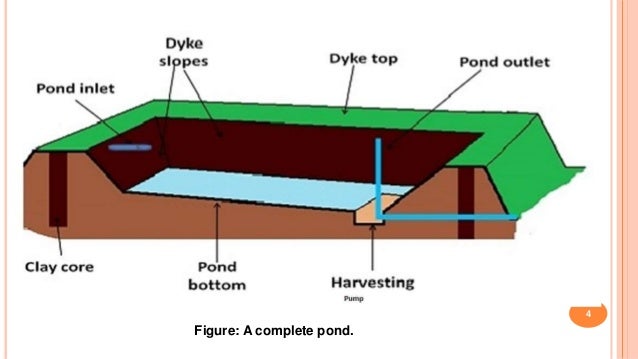 CONSTRUCTION OF FISH POND construction-of-fish-pond