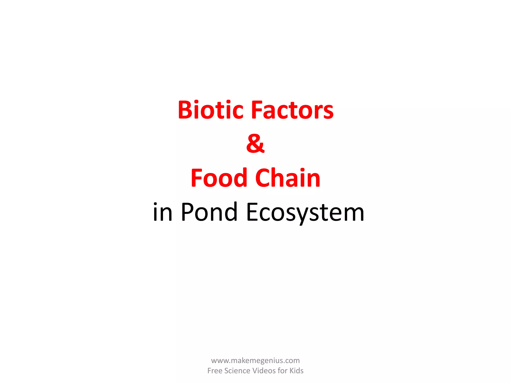 Biotic Factors
         &
    Food Chain
in Pond Ecosystem




     www.makemegenius.com
    Free Science Videos for Kids
 