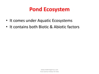 Pond Ecosystem
• It comes under Aquatic Ecosystems
• It contains both Biotic & Abiotic factors




                     www.makemegenius.com
                    Free Science Videos for Kids
 