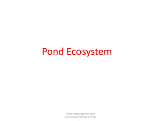 Pond Ecosystem




     www.makemegenius.com
    Free Science Videos for Kids
 