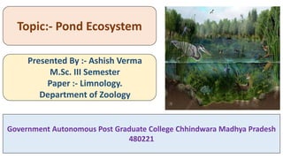 Presented By :- Ashish Verma
M.Sc. III Semester
Paper :- Limnology.
Department of Zoology
Government Autonomous Post Graduate College Chhindwara Madhya Pradesh
480221
Topic:- Pond Ecosystem
 