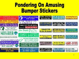 Pondering On Amusing Bumper Stickers 