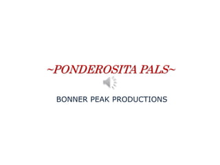 ~PONDEROSITA PALS~
BONNER PEAK PRODUCTIONS
 