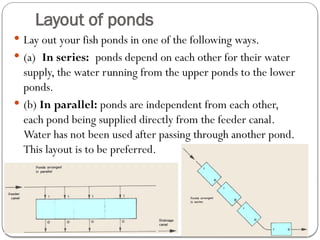Pond Fish culture - Fisheries/Fish Biology.pptx