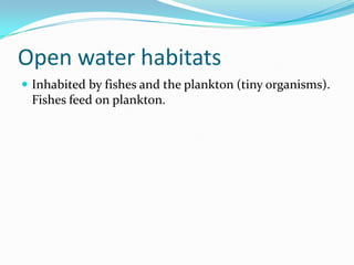 Open water habitatsInhabited by fishes and the plankton (tiny organisms).  Fishes feed on plankton.