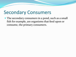 Secondary ConsumersThe secondary consumers in a pond, such as a small fish for example, are organisms that feed upon or consume, the primary consumers.