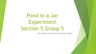 Pond in a Jar
Experiment
Section 5 Group 5
Vishal Patel, Alyssa Sonnier, Kaelynn Higley
 