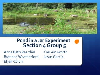 Pond in a Jar Experiment

Section 4 Group 5

Anna Beth Reardon
Brandon Weatherford
Elijah Colvin

Cari Ainsworth
Jesus Garcia

 