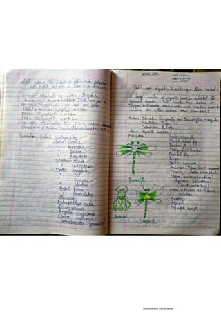 Pond management by Ashish sahu