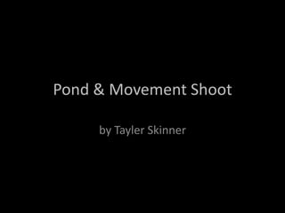 Pond & Movement Shoot

     by Tayler Skinner
 